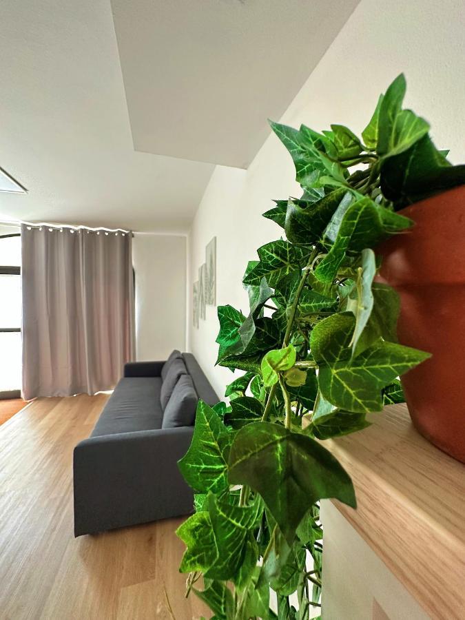 Mezzolara In Mezzo All'Aria Apartment מראה חיצוני תמונה