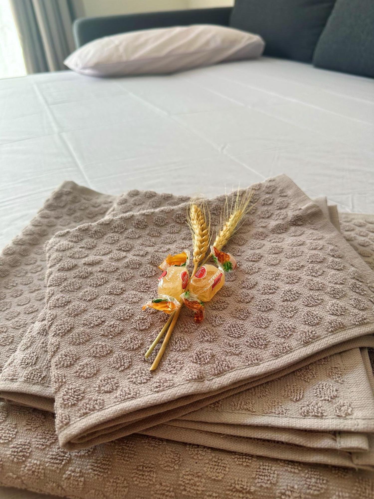 Mezzolara In Mezzo All'Aria Apartment מראה חיצוני תמונה