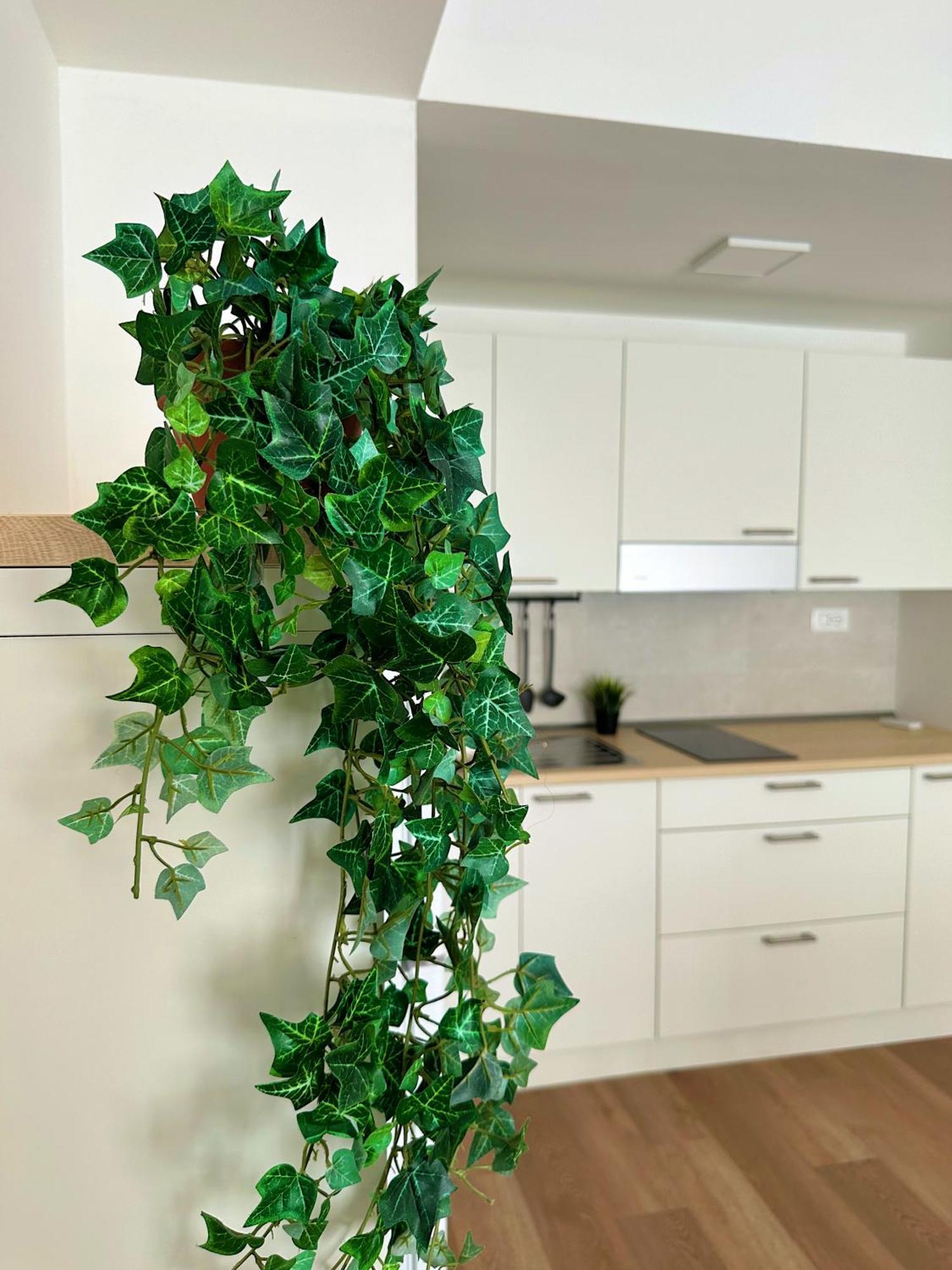 Mezzolara In Mezzo All'Aria Apartment מראה חיצוני תמונה